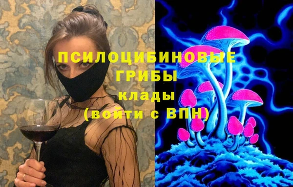 а пвп мука Алзамай