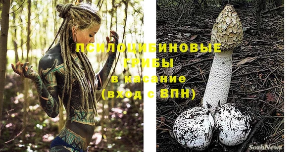 альфа пвп Алексеевка