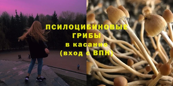 ПСИЛОЦИБИНОВЫЕ ГРИБЫ Абдулино