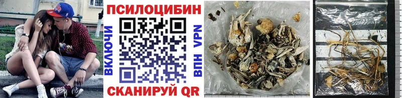 Псилоцибиновые грибы Magic Shrooms  цены наркотик  Кемь 